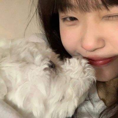 熊猫博士小镇商场破解版下载最新版